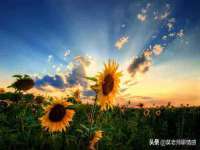 如皋晟东物流有限公司
