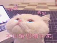 如皋晟东物流有限公司