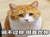 如皋晟东物流有限公司