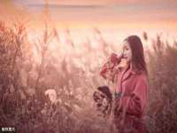 如皋晟东物流有限公司
