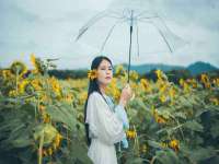 如皋晟东物流有限公司