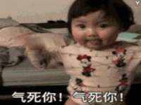 如皋晟东物流有限公司