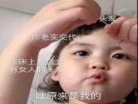 如皋晟东物流有限公司