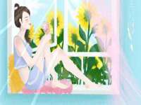 如皋晟东物流有限公司