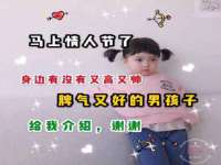 如皋晟东物流有限公司