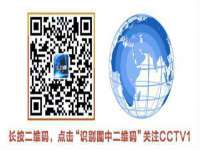 如皋晟东物流有限公司