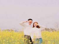 如皋晟东物流有限公司