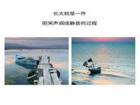 如皋晟东物流有限公司