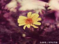 如皋晟东物流有限公司