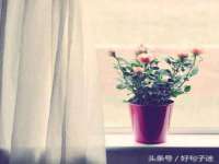 如皋晟东物流有限公司