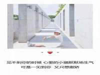 如皋晟东物流有限公司