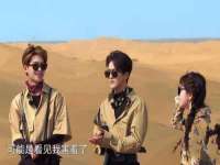 如皋晟东物流有限公司