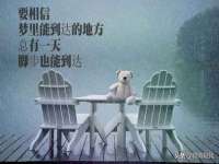 如皋晟东物流有限公司