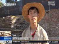 如皋晟东物流有限公司