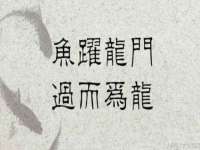 如皋晟东物流有限公司