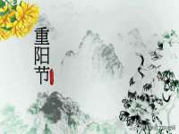 如皋晟东物流有限公司