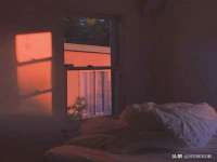 如皋晟东物流有限公司