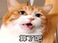 如皋晟东物流有限公司