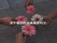 如皋晟东物流有限公司
