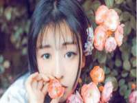 如皋晟东物流有限公司