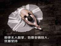 如皋晟东物流有限公司