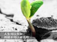如皋晟东物流有限公司