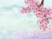 如皋晟东物流有限公司