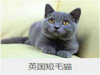 如皋晟东物流有限公司