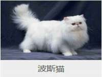 如皋晟东物流有限公司