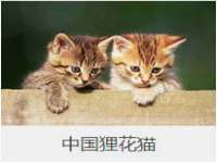 如皋晟东物流有限公司