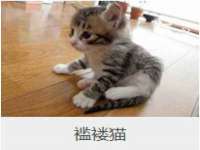 如皋晟东物流有限公司
