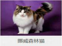 如皋晟东物流有限公司