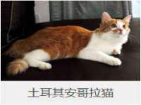 如皋晟东物流有限公司