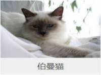 如皋晟东物流有限公司