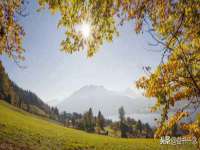 如皋晟东物流有限公司