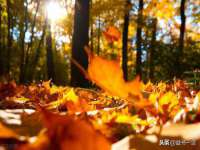 如皋晟东物流有限公司