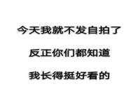 如皋晟东物流有限公司