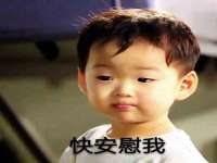 如皋晟东物流有限公司
