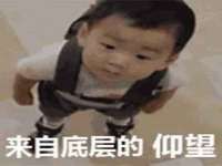 如皋晟东物流有限公司
