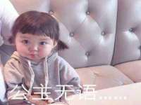 如皋晟东物流有限公司