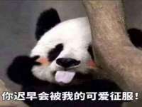如皋晟东物流有限公司