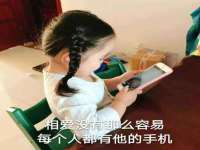 如皋晟东物流有限公司