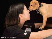 如皋晟东物流有限公司