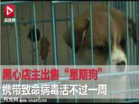 如皋晟东物流有限公司