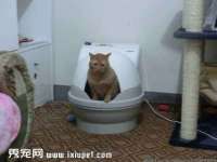 如皋晟东物流有限公司