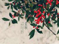 如皋晟东物流有限公司
