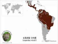 如皋晟东物流有限公司