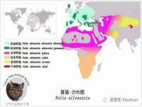 如皋晟东物流有限公司