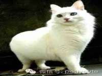 如皋晟东物流有限公司