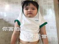 如皋晟东物流有限公司